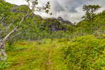 Insel Austvågøya. Zur Trollfjordhytta. Austpolldalen