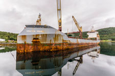 VECTIS PRIDE im Hafen Drag