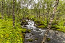 Zum Berg Stetind. Fluss Storelva