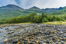 Am Fluss Bjørndalselva