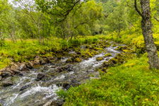 Insel Austvågøya. Zur Trollfjordhytta. Austpolldalen