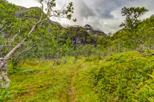 Insel Austvågøya. Zur Trollfjordhytta. Austpolldalen