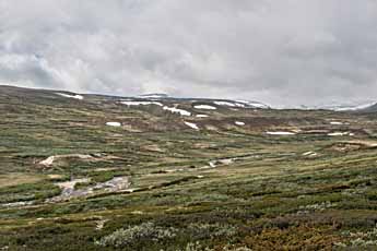 Dovrefjell. Fluss Kaldvella