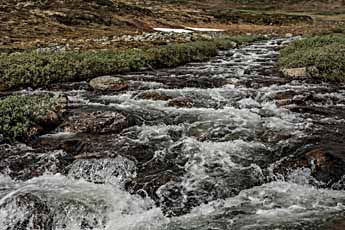 Dovrefjell. Fluss Kaldvella