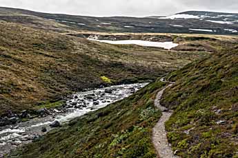 Dovrefjell. Der Pfad