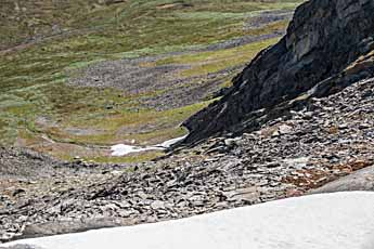Dovrefjell. Nystugudalen