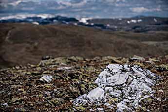 Dovrefjell. Ein weisser Stein