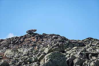 Dovrefjell. Steinfrosch
