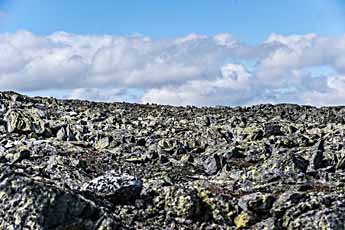 Dovrefjell. Steiniger Boden