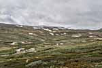 Dovrefjell. Fluss Kaldvella