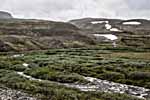 Dovrefjell. Fluss Kaldvella