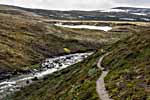 Dovrefjell. Der Pfad