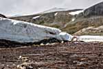 Dovrefjell. Eine dünne Schneebrücke.