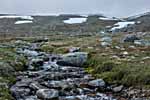 Dovrefjell. Ein Bach.