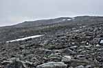 Dovrefjell. Wanderweg: Reinheim-Snoøheim