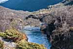 Dovrefjell. Fluss Driva