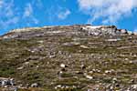 Dovrefjell. Nystugubekken