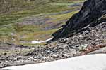 Dovrefjell. Nystugudalen