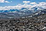 Dovrefjell. Steiniger Boden