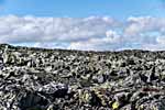 Dovrefjell. Steiniger Boden