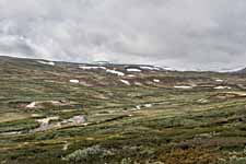 Dovrefjell. Fluss Kaldvella
