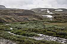 Dovrefjell. Fluss Kaldvella