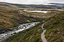 Dovrefjell. Der Pfad