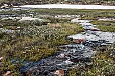 Dovrefjell. Schmelzwasser