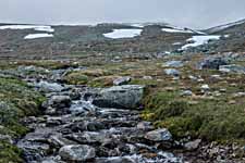 Dovrefjell. Ein Bach.