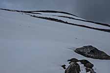 Dovrefjell. Ein Schneefeld