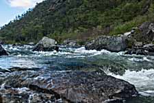 Dovrefjell. Fluss Driva