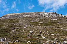 Dovrefjell. Nystugubekken