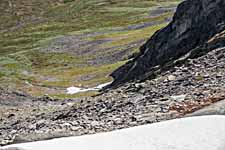 Dovrefjell. Nystugudalen