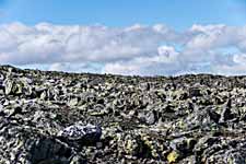 Dovrefjell. Steiniger Boden