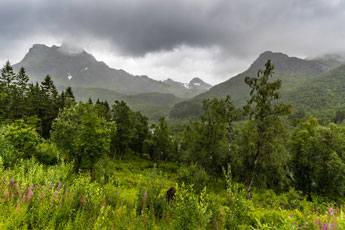 Blick zum Park