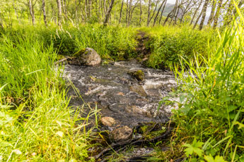 Zum Berg Møysalen. Ein Bach