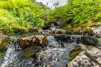 Forkledalen. Ein ruhiger Bach
