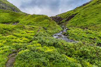 zum Berg Møysalen
