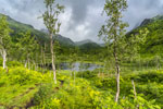 Zum Berg Møysalen. Forkledalen. Ein See