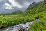 Forkledalen. Ein Bach