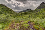 Forkledalen. Sumpfiger Boden