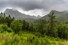 Blick zum Park