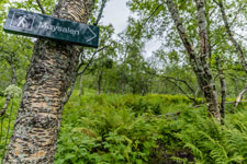Zum Berg Møysalen. Am Storvatnet