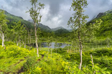 Zum Berg Møysalen. Forkledalen. Ein See