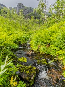 Im Tal Forkledalen. Berge und Wasser