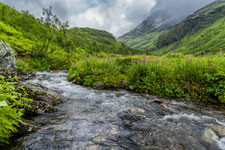 Forkledalen. Ein Bach