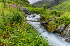 Forkledalen. Steg über ein Bach