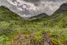 Forkledalen. Sumpfiger Boden
