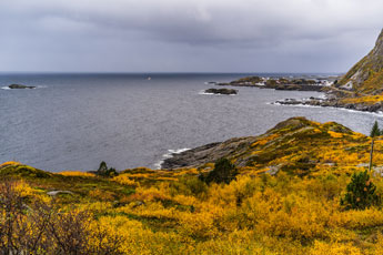 Am Hamnøyvatnet. Insel Moskenesøya