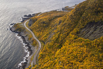 Zum Reinebringen. Insel Moskenesøya